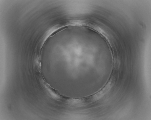 X0000111001481200907022126