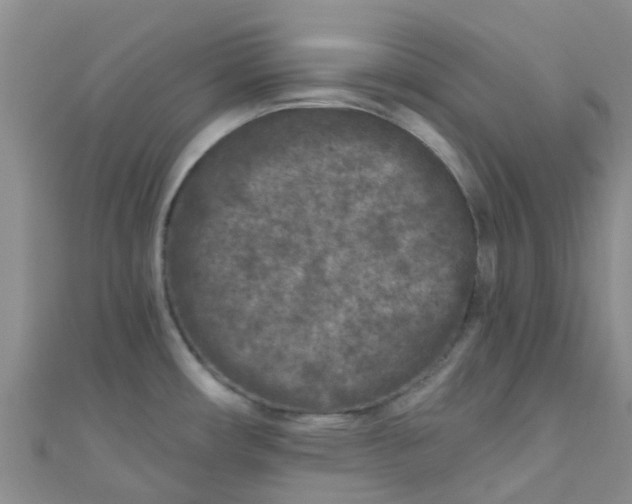 X0000111001482200907022126