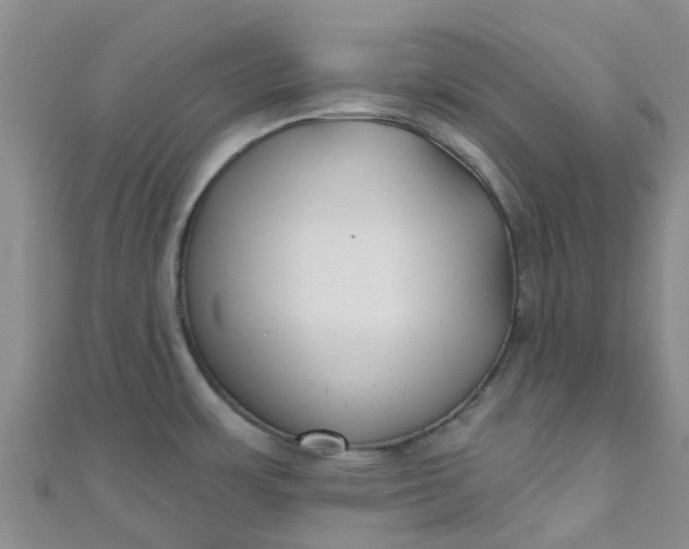 X0000111001483200907022126