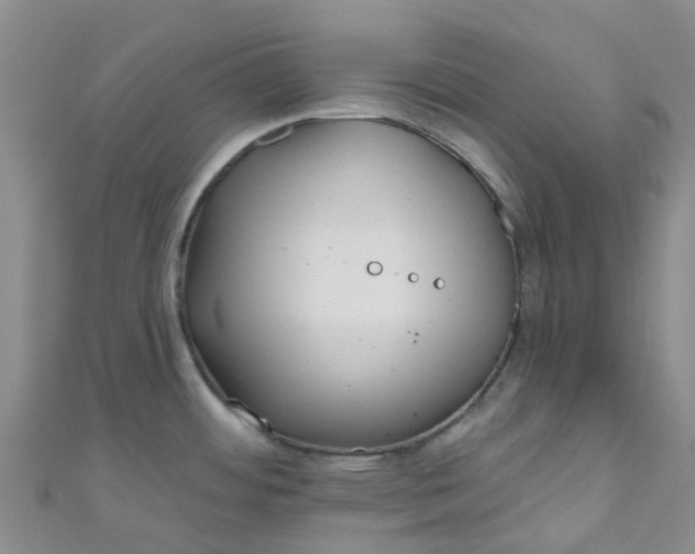 X0000111001484200907022126