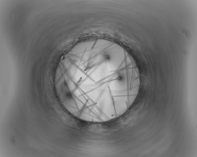 X0000111001489200907022126