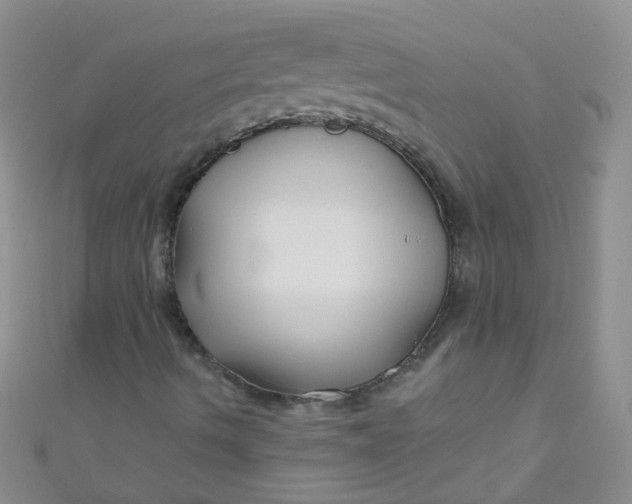 X0000111001490200907022126