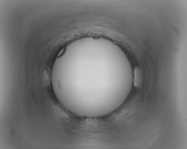 X0000111001491200907022126