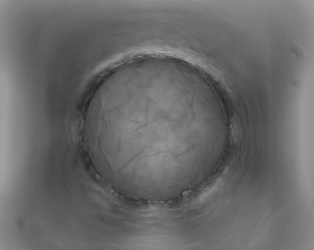 X0000111001494200907022126