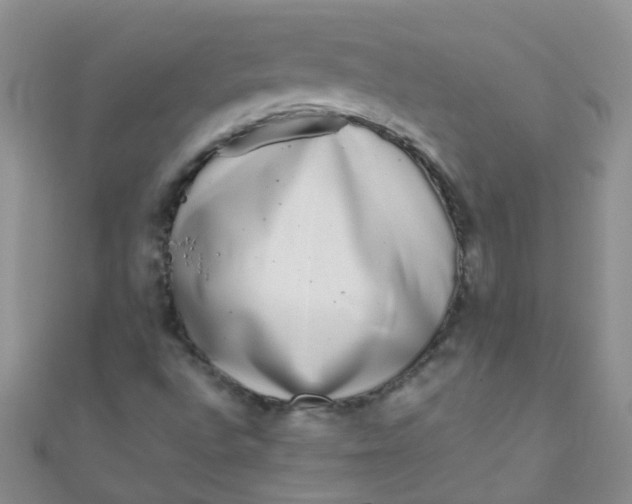 X0000111001496200907022126