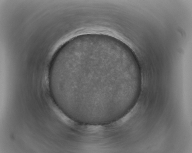 X0000111001498200907022126