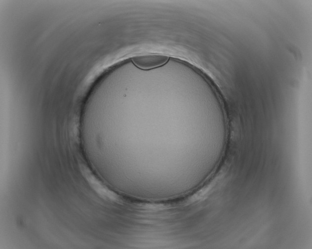 X0000111001499200907022126