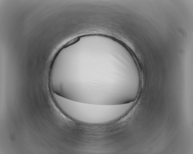 X0000111001500200907022126