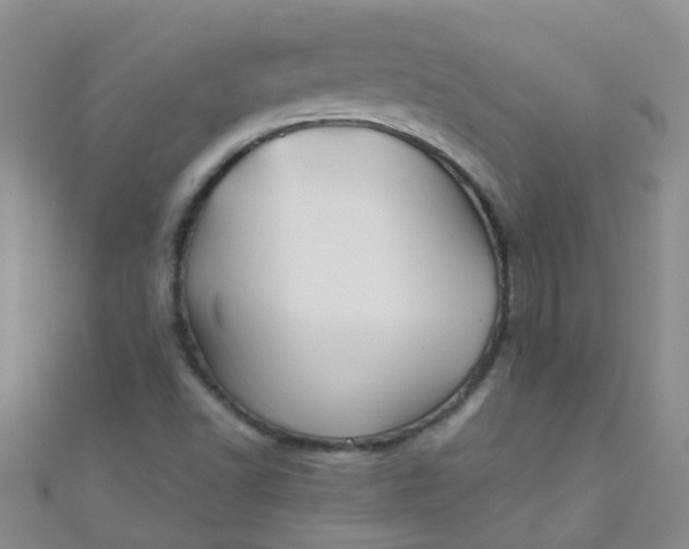 X0000111001502200907022126