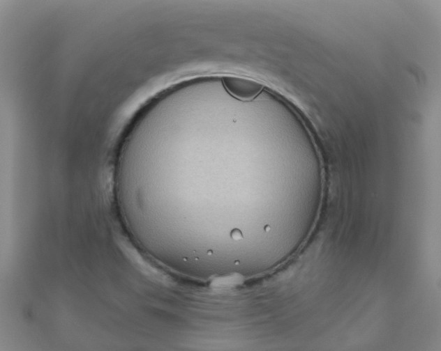 X0000111001503200907022126