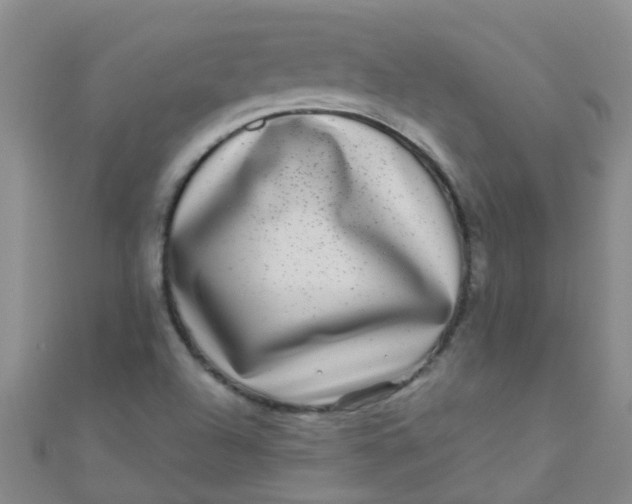 X0000111001504200907022126