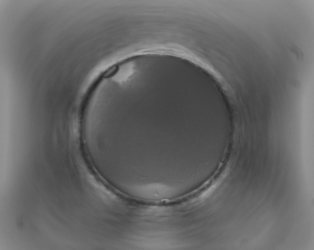 X0000111001506200907022126