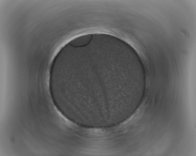 X0000111001508200907022126