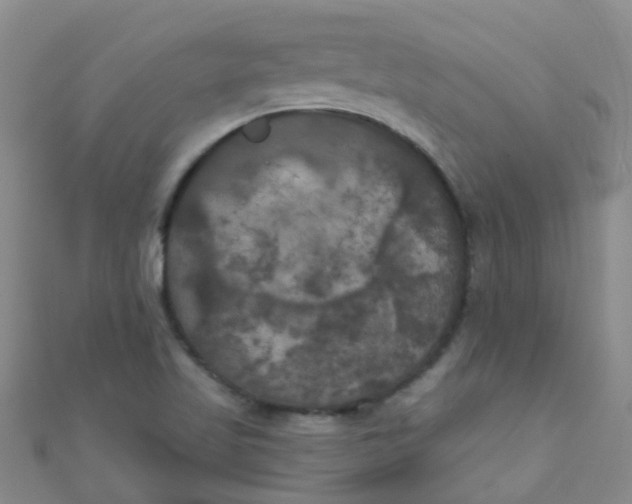 X0000111001509200907022126