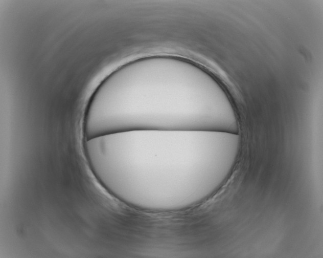 X0000111001512200907022126