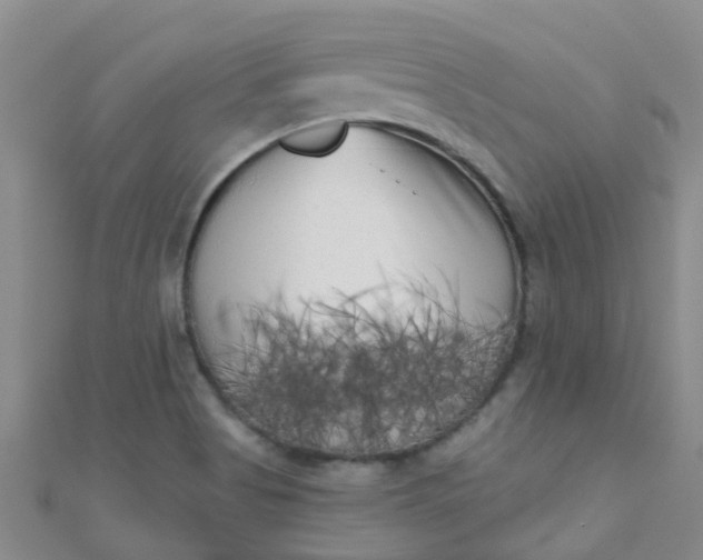 X0000111001513200907022126