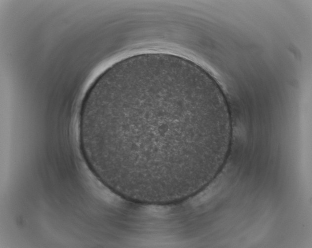 X0000111001514200907022126