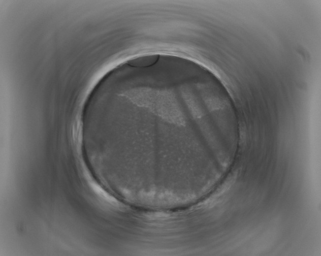 X0000111001515200907022126