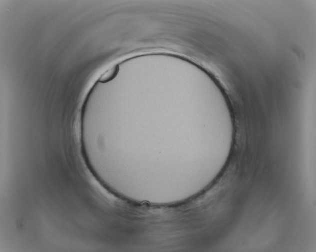 X0000111001516200907022126