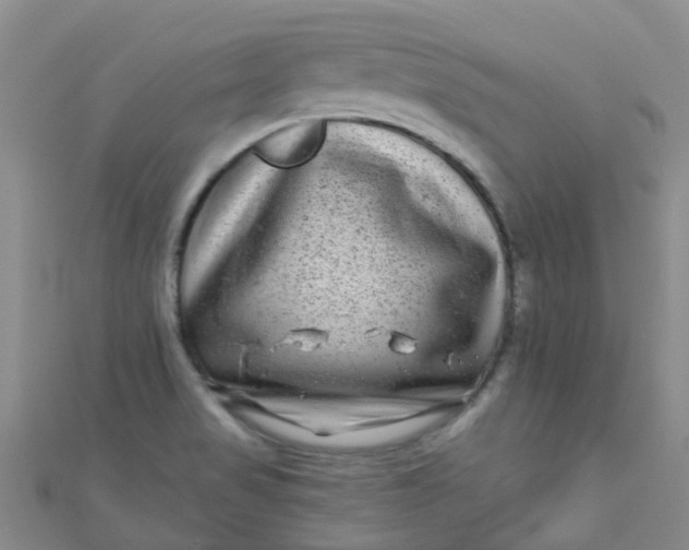 X0000111001517200907022126