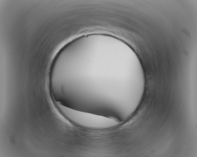 X0000111001518200907022126