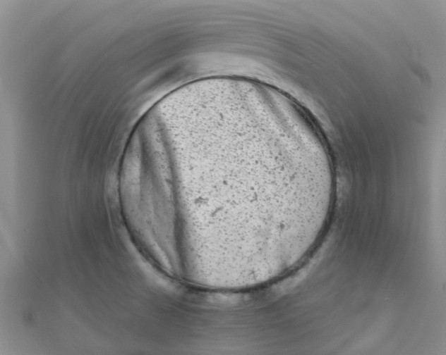 X0000111001521200907022126