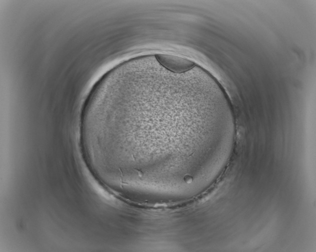 X0000111001523200907022126