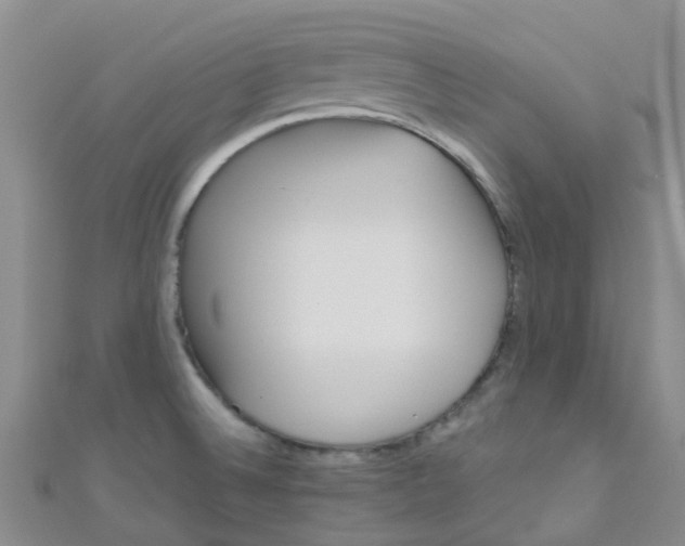 X0000111001524200907022126