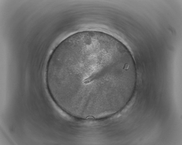 X0000111001525200907022126