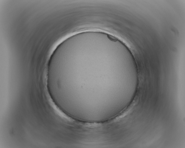 X0000111001526200907022126