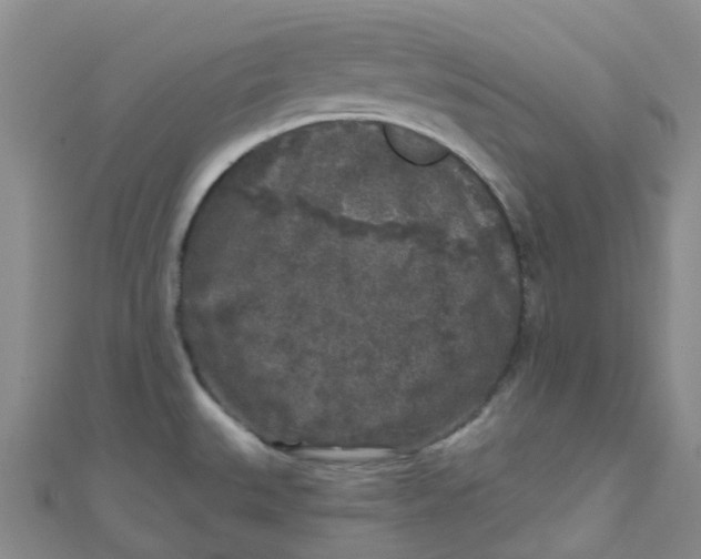 X0000111001527200907022126