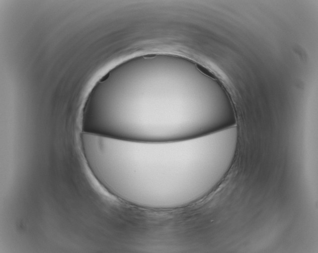 X0000111001528200907022126