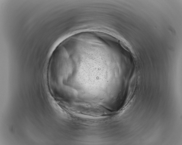 X0000111001530200907022126