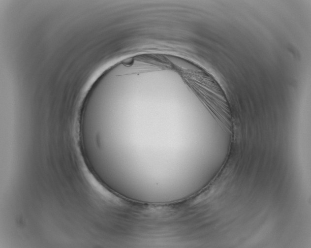 X0000111001531200907022126