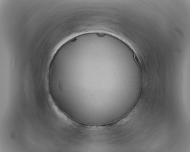 X0000111001534200907022126