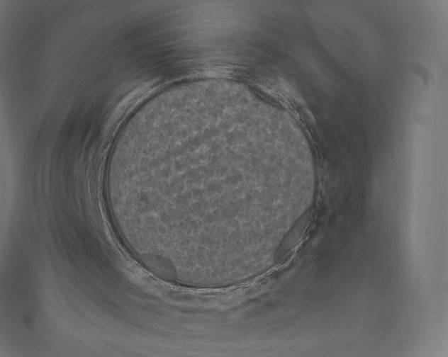 X0000111000001200907101502