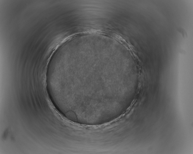 X0000111000002200907101502