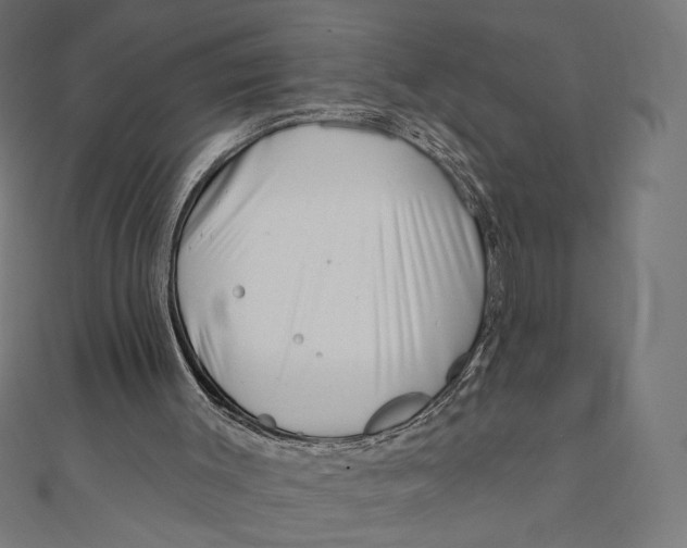 X0000111000003200907101502