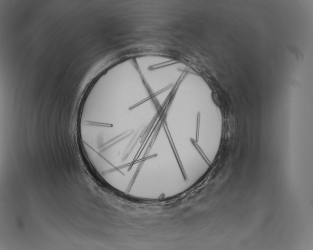 X0000111000004200907101502