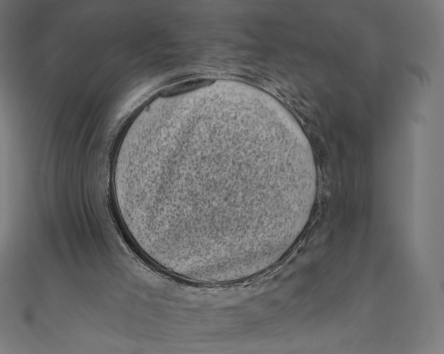 X0000111000005200907101502