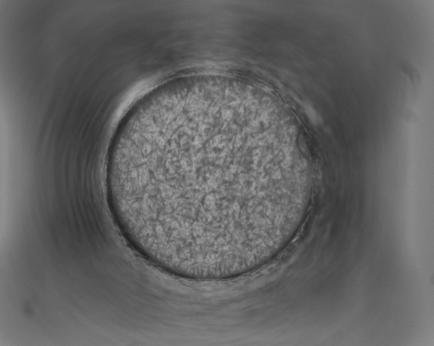 X0000111000006200907101502