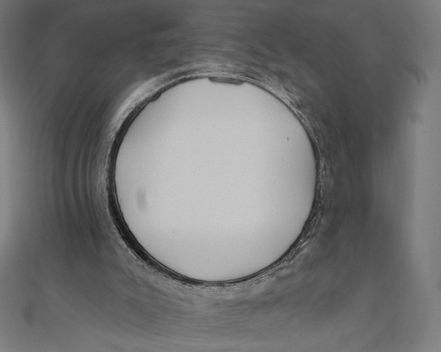 X0000111000007200907101502