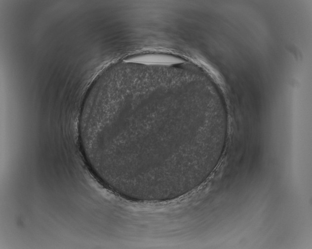 X0000111000009200907101502