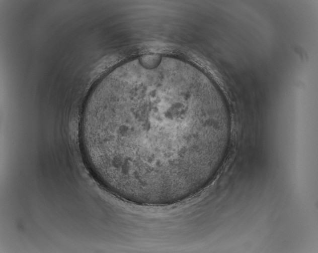 X0000111000010200907101502