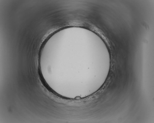 X0000111000011200907101502