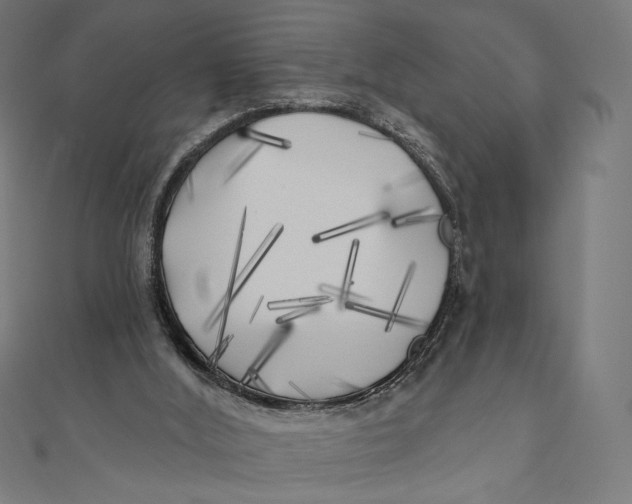 X0000111000012200907101502