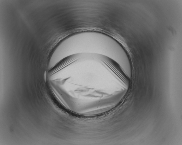 X0000111000013200907101502