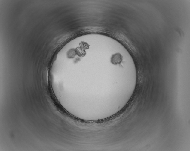 X0000111000014200907101502