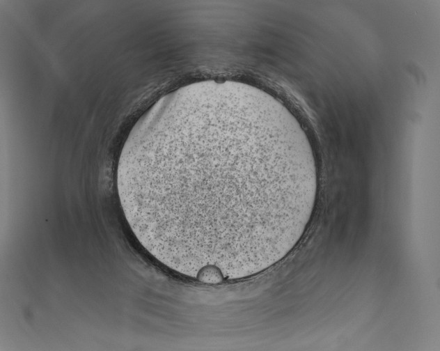 X0000111000017200907101502