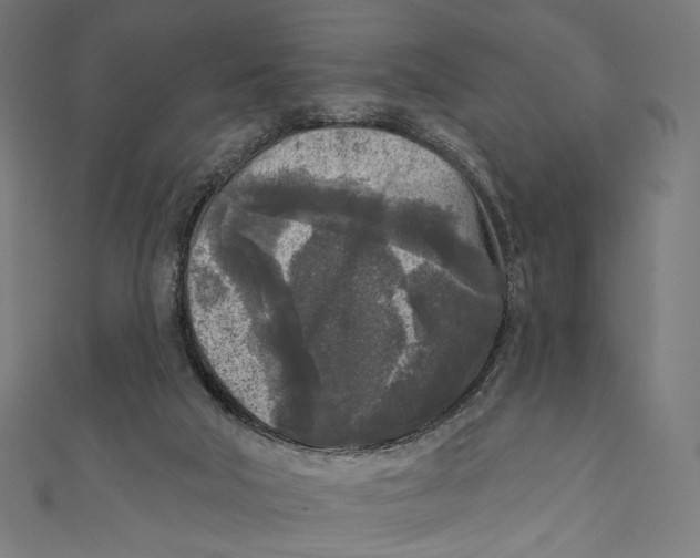 X0000111000018200907101502